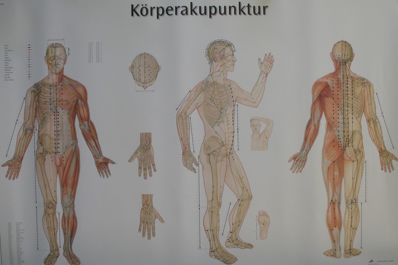 Körperakupunktur-Poster 
